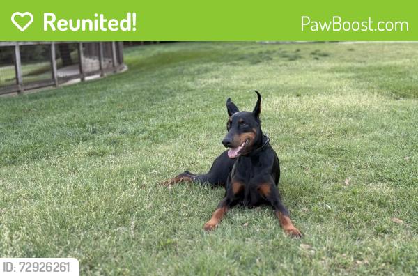 Reunited Female Dog last seen Locke Ave and Thomas, maybe Arlington Heights Highschool , Fort Worth, TX 76107