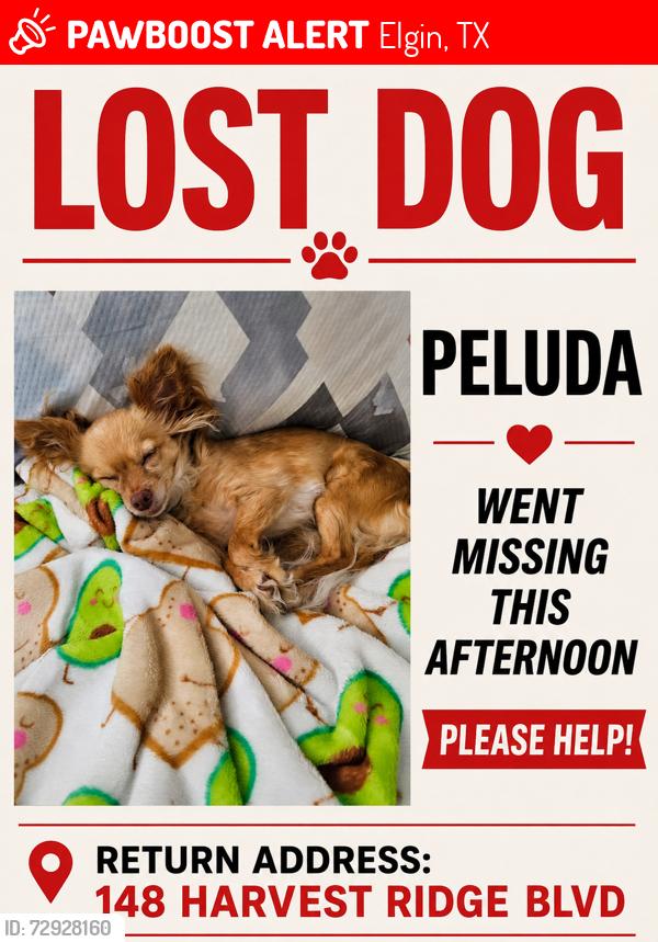 Lost Female Dog last seen Near Harvest Ridge Blvd, Elgin, TX 78621