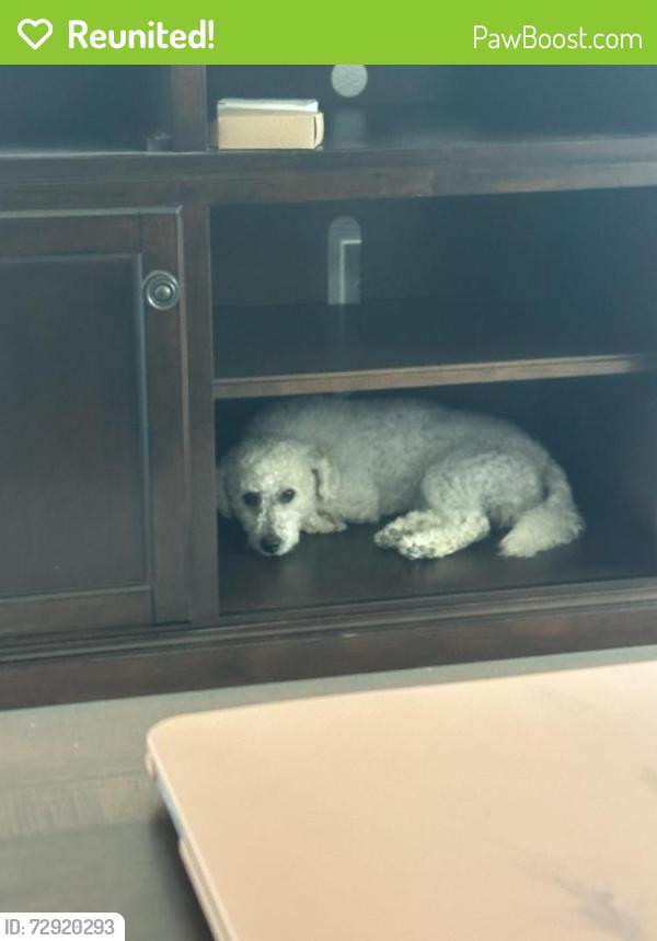 Reunited Male Dog last seen Evan’s and Nuevo , Perris, CA 92571