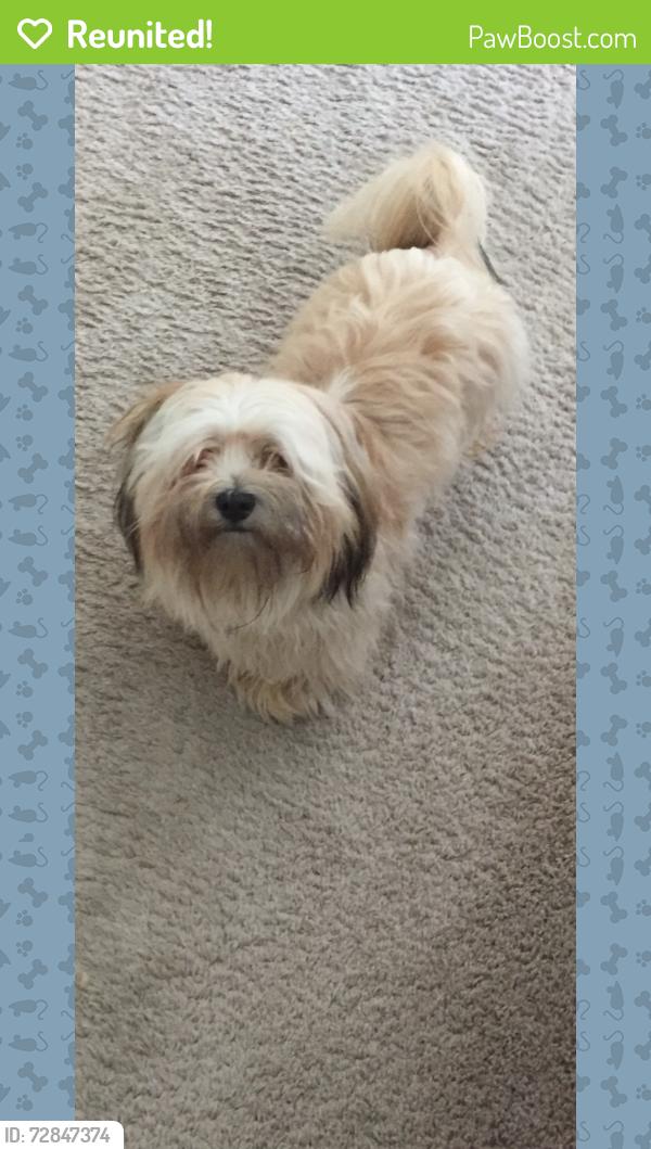 Reunited Male Dog last seen Duval Station Road and Sandwick Road, Jacksonville, FL 32218