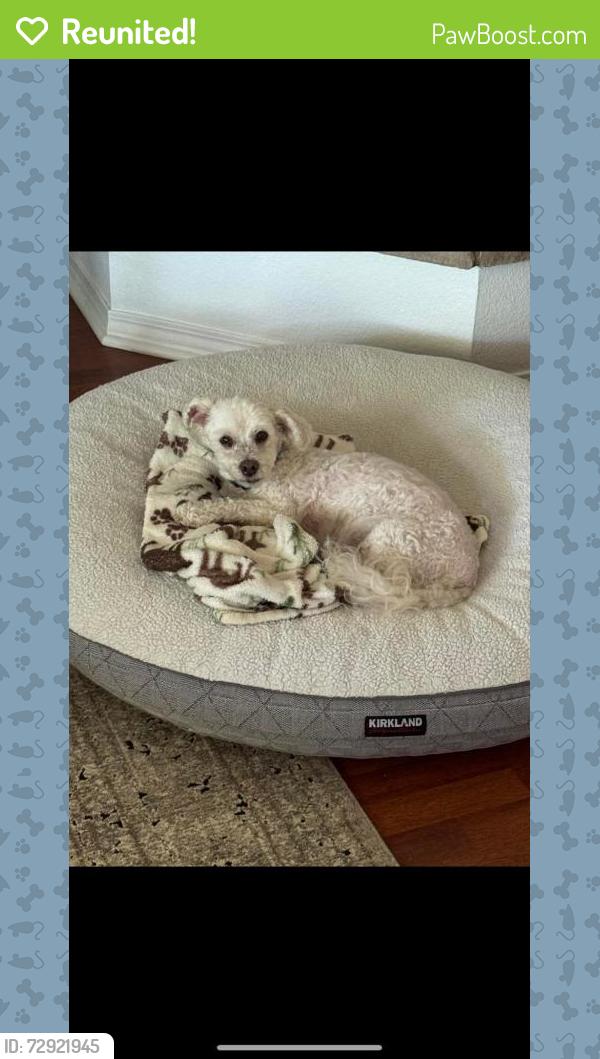 Reunited Male Dog last seen Azara / Mapleton in Murrieta , Murrieta, CA 92563