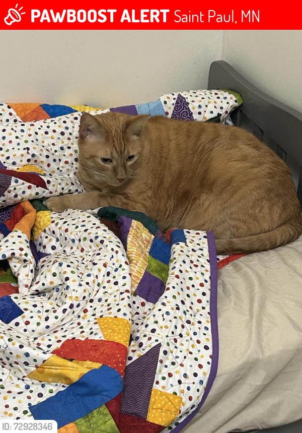 Lost Male Cat last seen Marshall & Dunlap / Marshall & Griggs / Bucky Olson Tennis Courts / Pizza Luce, Saint Paul, MN 55104