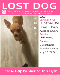 Reunited Female Dog last seen Off Vista Del Cerro Dr , Tempe, AZ 85281