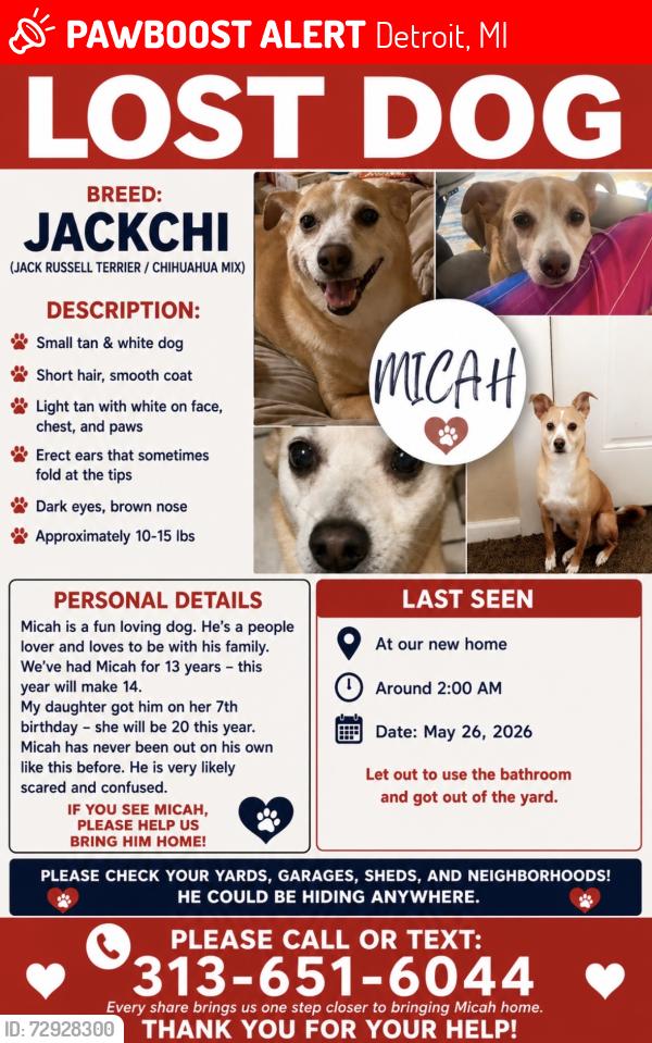 Lost Male Dog last seen 7mile, Livernois/Wyoming, Woodward, 6mile , Detroit, MI 48221