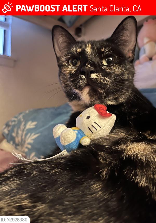 Lost Female Cat last seen Near Hidaway Ave behind Food4Less, Santa Clarita, CA 91351