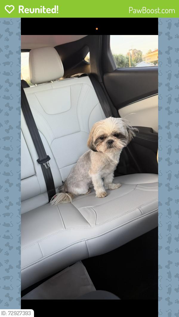 Reunited Male Dog last seen Hollister st , Simi Valley, CA 93065