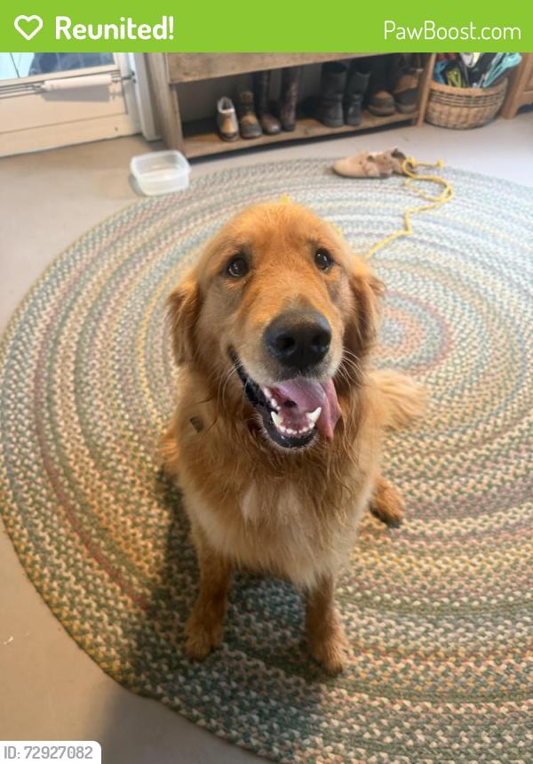 Reunited Male Dog last seen Oak Ridge Rd. and Beeson, Oak Ridge NC 27310, Oak Ridge, NC 27310