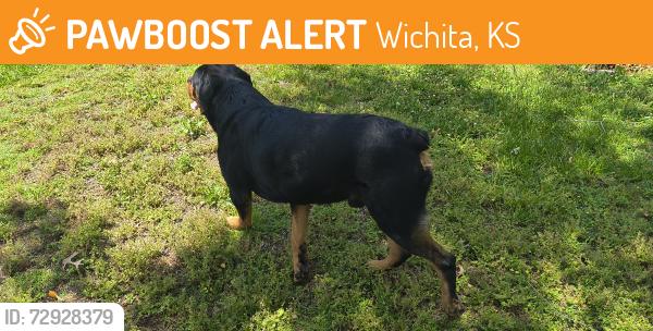 Found/Stray Male Dog last seen Near Courtleigh St., Wichita, KS 67218