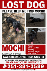 Reunited Female Dog last seen swedetown / Nan Gray rd area , Theodore, AL 36582