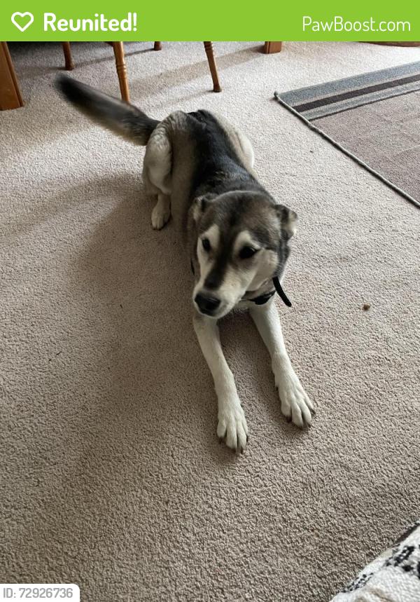 Reunited Female Dog last seen Fielder Rd , Arlington, TX 76013