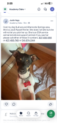 Reunited Female Dog last seen Near Forest Lake Dr, Altamonte Springs, Fl 32714, Altamonte Springs, FL 32714