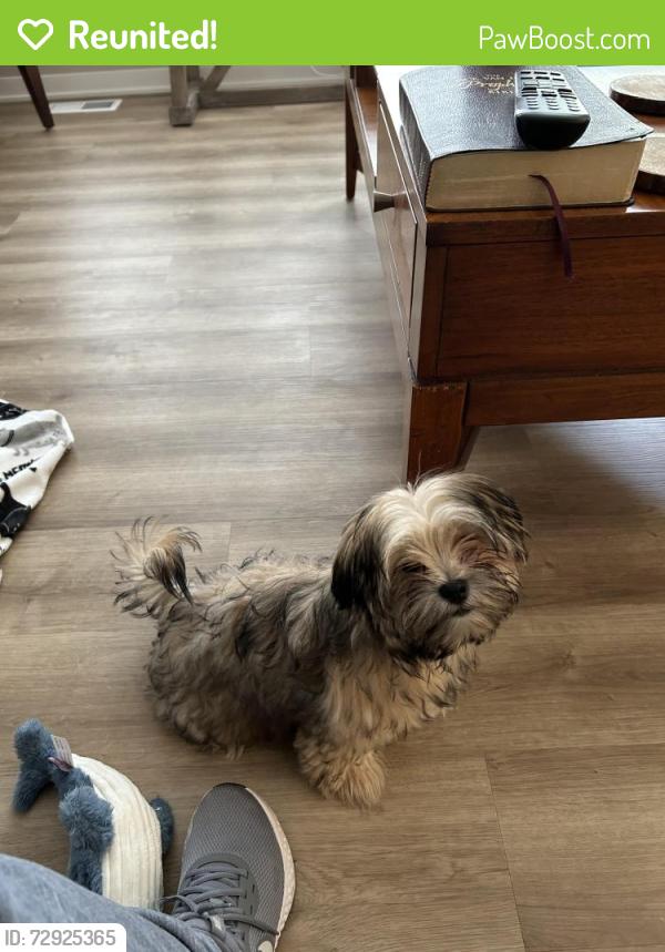 Reunited Female Dog last seen Enclave way, Kalamazoo, MI 49006