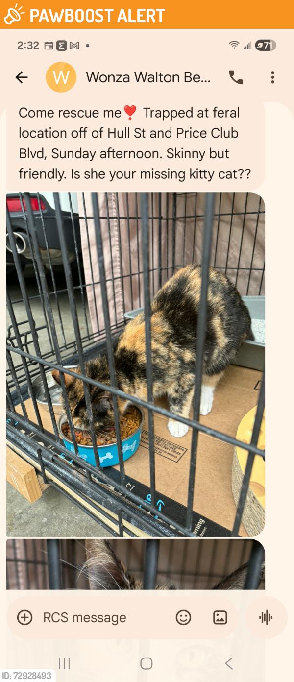 Found/Stray Female Cat last seen Hull street. And price club blvd., Chesterfield County, VA 23236