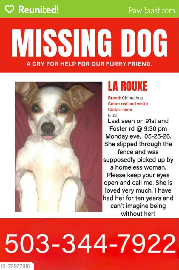 Reunited Female Dog last seen Se 91st Foster rd , Portland, OR 97266