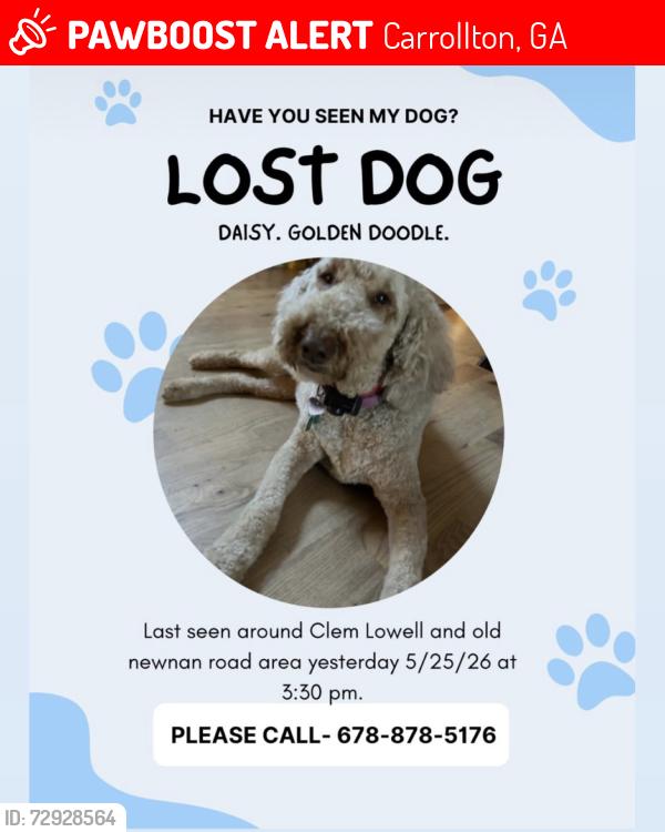 Lost Female Dog last seen Old NEWNAN rd and Stonegate trail , Carrollton, GA 30116