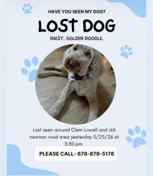 Lost Female Dog last seen Old NEWNAN rd and Stonegate trail , Carrollton, GA 30116
