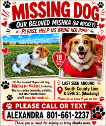 Lost Female Dog last seen 59th St County line, Mustang, OK 73064