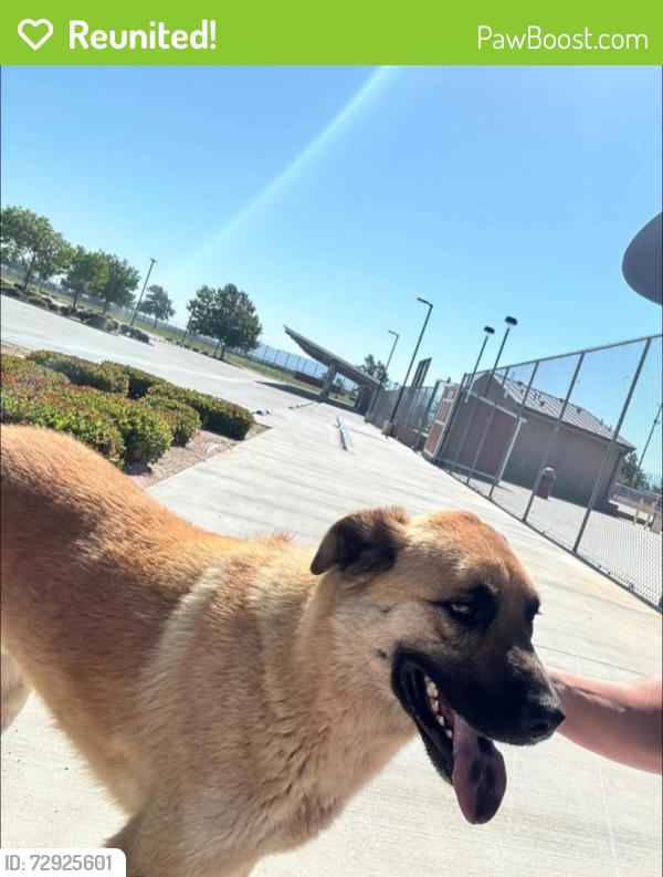 Reunited Male Dog last seen Oak hills high school, Oak Hills, CA 92344