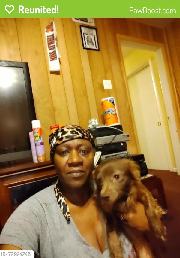 Reunited Male Dog last seen Meadowick Ln. Off Ashbrook and Samuel Blvd., Dallas, TX 75227