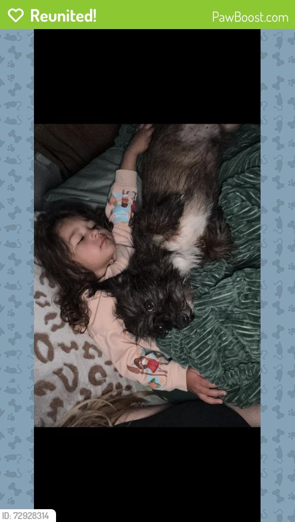 Reunited Male Dog last seen Fulton Ave , Sacramento, CA 95825