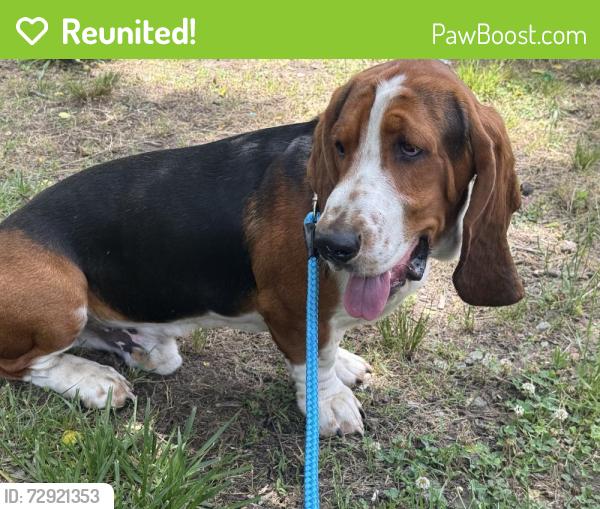 Reunited Male Dog last seen Windsong Drive, Cameron NC, Harnett County, NC 28326