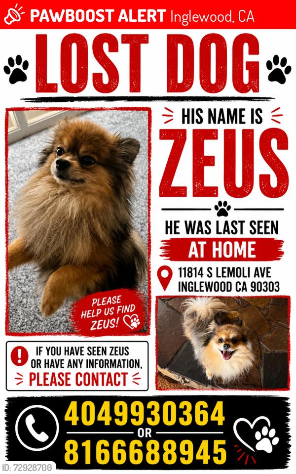 Lost Male Dog last seen Near Freeway, Inglewood, CA 90303