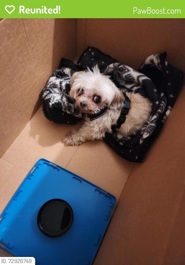 Reunited Unknown Dog last seen Center st. Compton, CA 90220, Compton, CA 90220