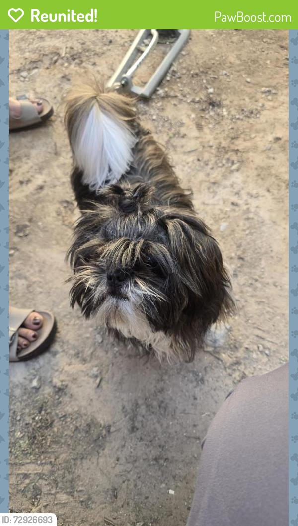 Reunited Male Dog last seen Maiden grass road 87120 ouray road , Albuquerque, NM 87120