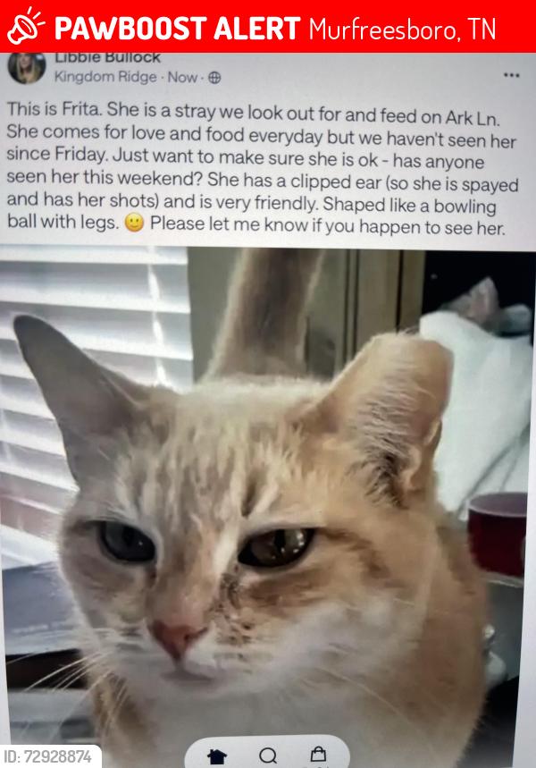 Lost Female Cat last seen Near Ark ln, Murfreesboro, TN 37128