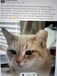 Lost Female Cat last seen Near Ark ln, Murfreesboro, TN 37128