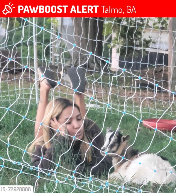Lost Male Other last seen Athens hwy front of the palet company , Talmo, GA 30575