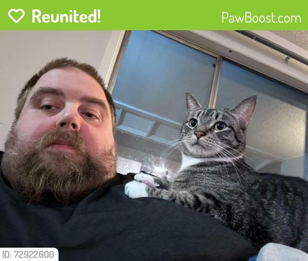 Reunited Male Cat last seen Northtree and McLeod , Keizer, OR 97303