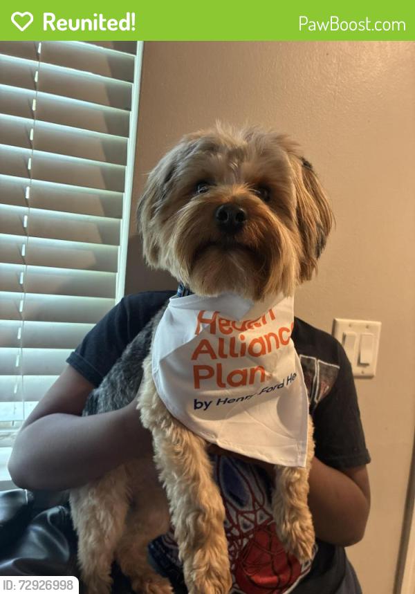 Reunited Male Dog last seen Near west s , West Bloomfield Township, MI 48322