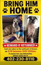 Lost Male Dog last seen North Part of Seneca, KS, Seneca, KS 66538