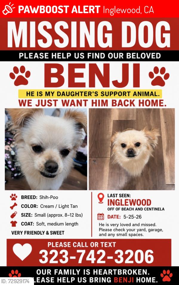 Lost Male Dog last seen beach , Inglewood, CA 90302