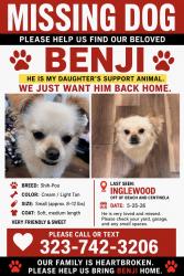 Lost Male Dog last seen beach , Inglewood, CA 90302