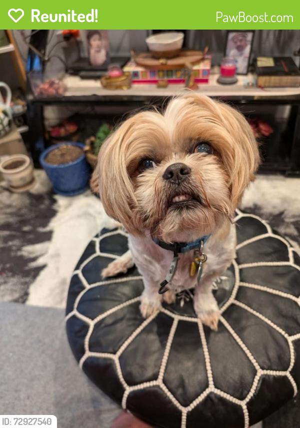 Reunited Male Dog last seen Athens and Excelsior , San Francisco, CA 94112