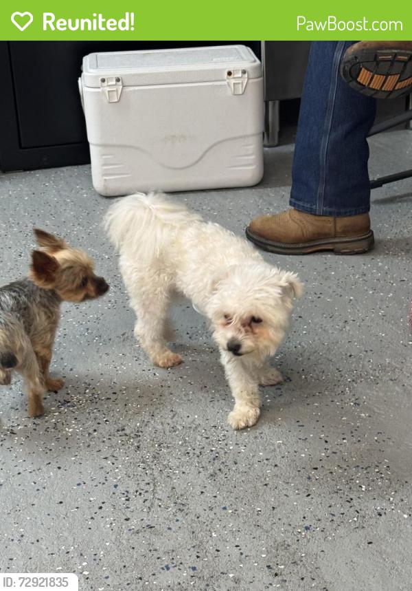 Reunited Unknown Dog last seen Hwy 82, Dunn NC, Cape Fear, NC 28395