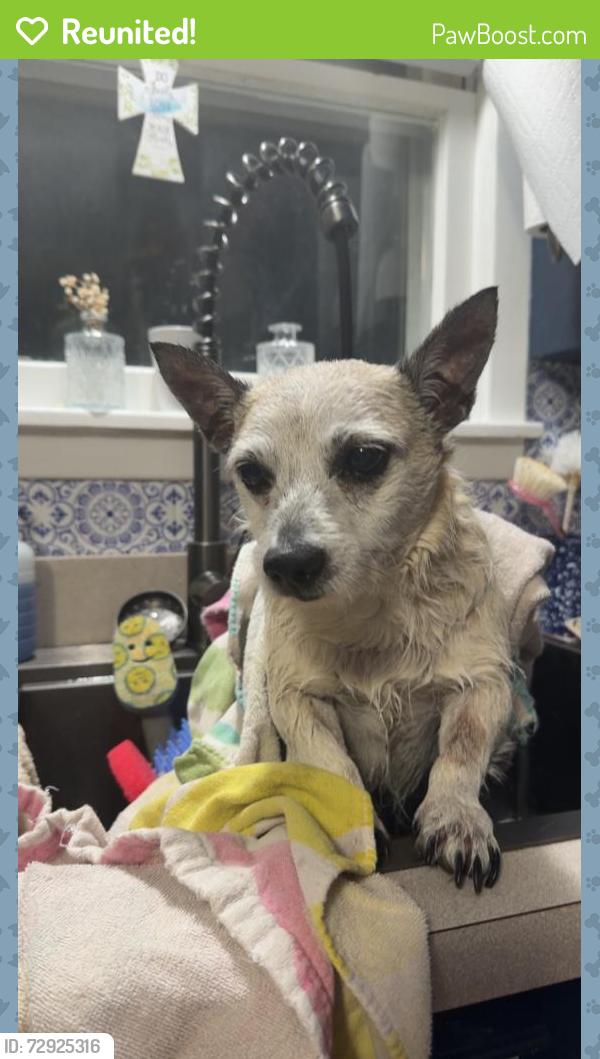 Reunited Male Dog last seen Ne Murphy rd and ne Cindy ln, Burleson, TX 76028