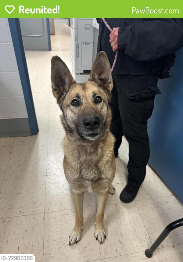 Reunited Female Dog last seen Leone and Kennard, Saint Paul, MN 55106