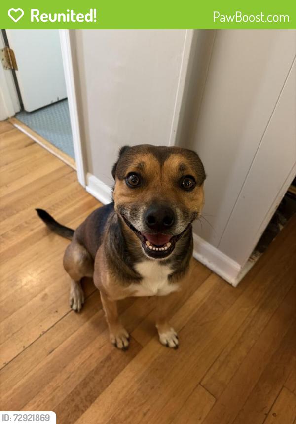 Reunited Male Dog last seen Overton Park & Avalon, Memphis, TN 38112