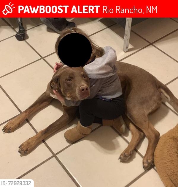Lost Male Dog last seen Clark Hills Dr NE, Rio Rancho NM 87144, Rio Rancho, NM 87144
