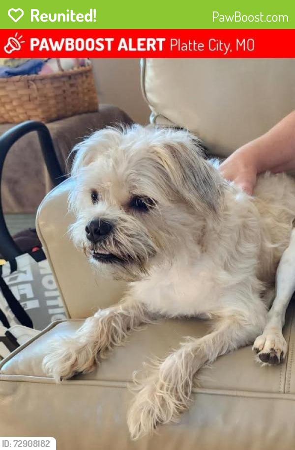 Reunited Female Dog last seen I29 and 435S, Kansas City, MO 64163