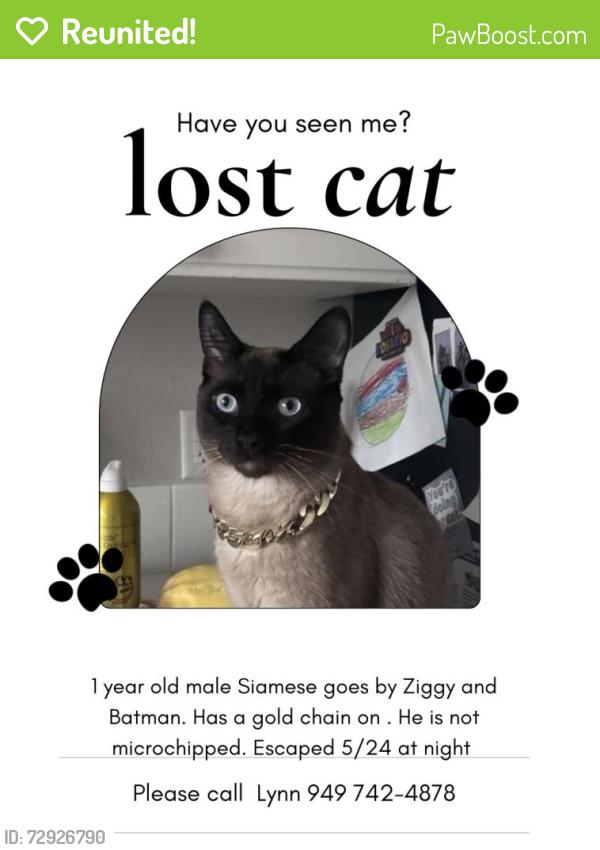 Reunited Male Cat last seen West union/Bethany , Oak Hills, OR 97003