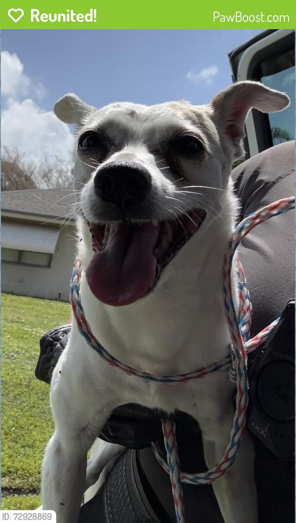 Reunited Unknown Dog last seen Port St. Lucie, Port St. Lucie, FL 34986