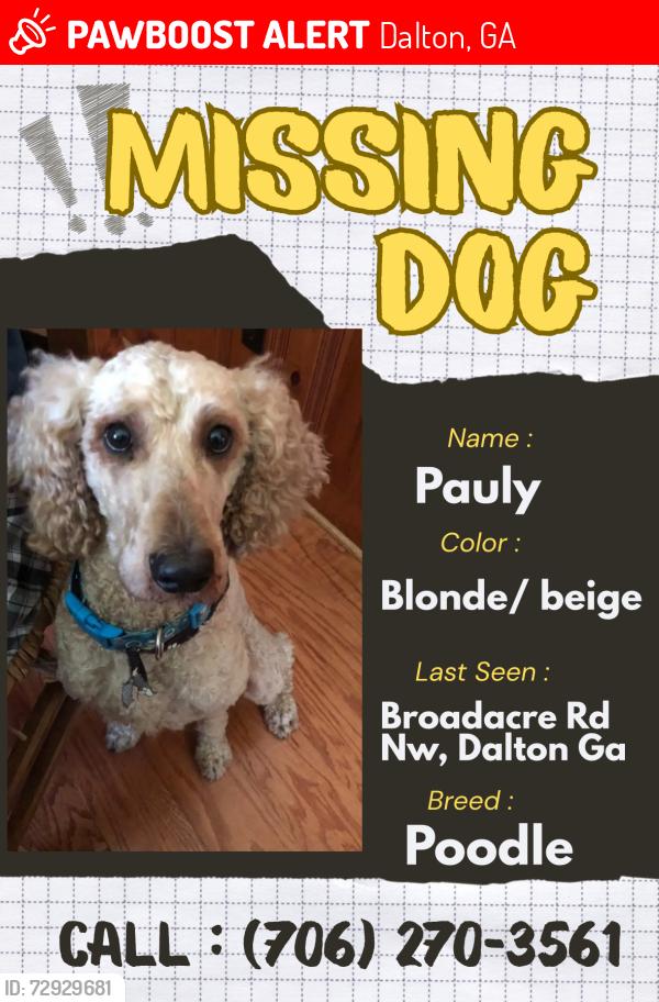 Lost Male Dog last seen Broadacre Dr NW, Dalton, GA 30721