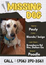 Lost Male Dog last seen Broadacre Dr NW, Dalton, GA 30721