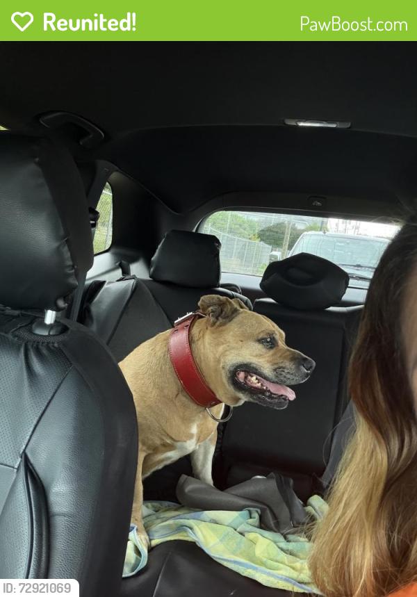 Reunited Male Dog last seen Academy st, Welcome, SC 29611