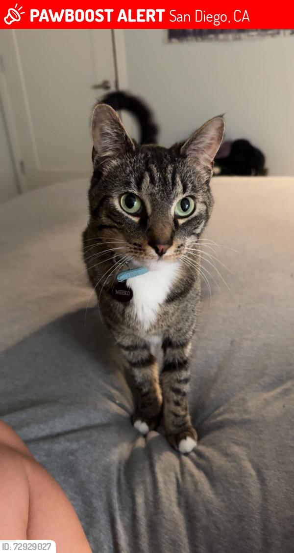 Lost Male Cat last seen Mission Hills; Hanford Drive (dead end off of Crandall Dr and Gateshead St) , San Diego, CA 92111