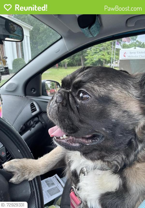 Reunited Unknown Dog last seen Morgan’s /Hudson , Eden, NC 27288